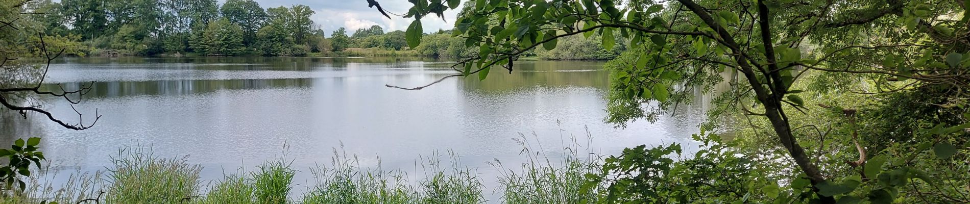 Tour Wandern La Ferté-Vidame - 20240612 La Ferte Vidame - Photo