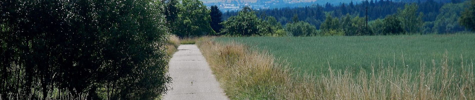 Tocht Te voet Karlsbad - Spielberg: Waldkulturpfad - Gscheidweg - Photo