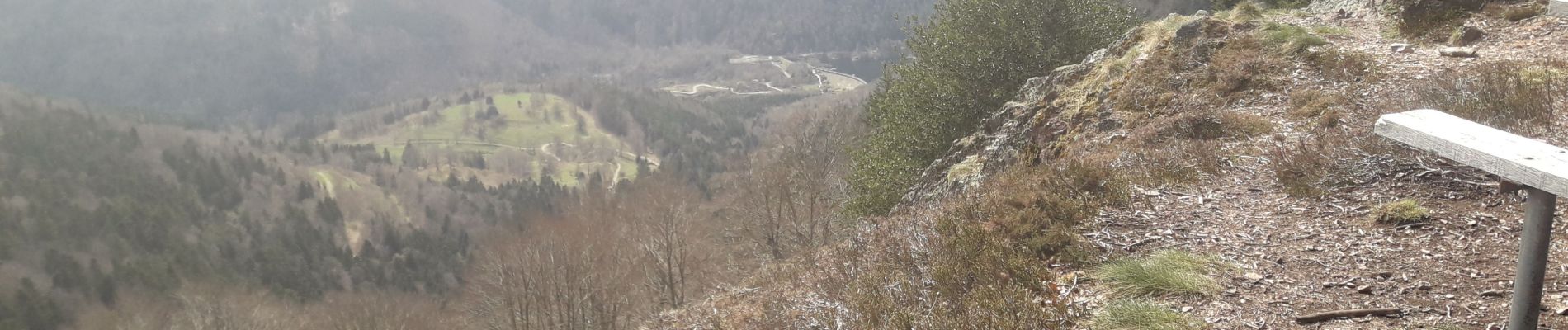 Tocht Stappen Sewen - la ronde tête, le Gresson depuis le lac d'Alfeld - Photo