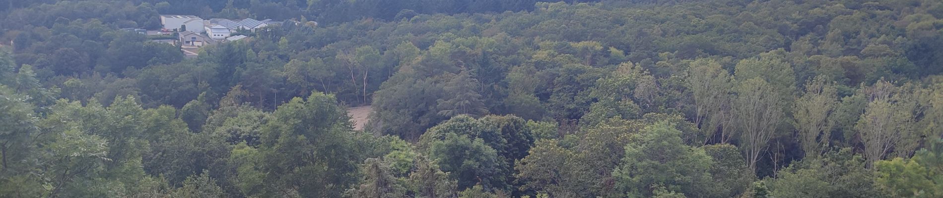 Tocht Stappen Volvic - volvic, sources et château  - Photo