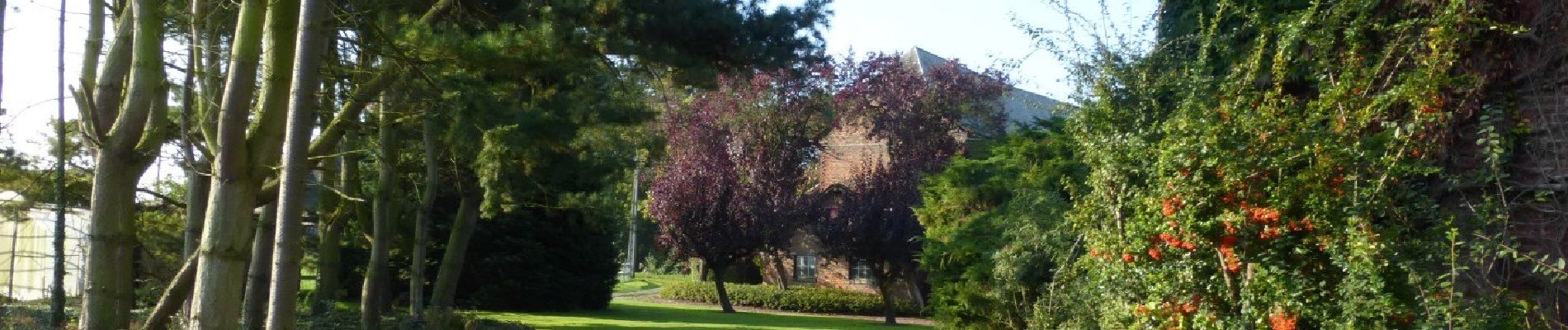 Tour Zu Fuß Sint-Truiden - Bernissem wandeling - Photo