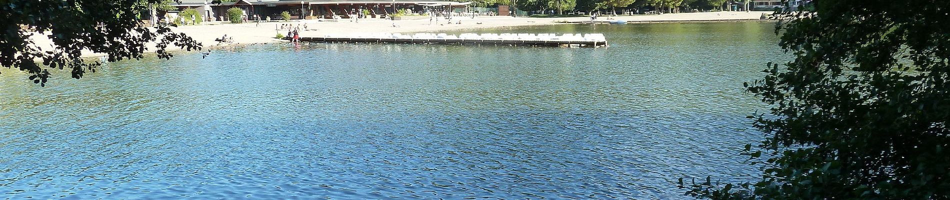 Percorso A piedi Chambon-sur-Lac - Le Lac Chambon - Photo