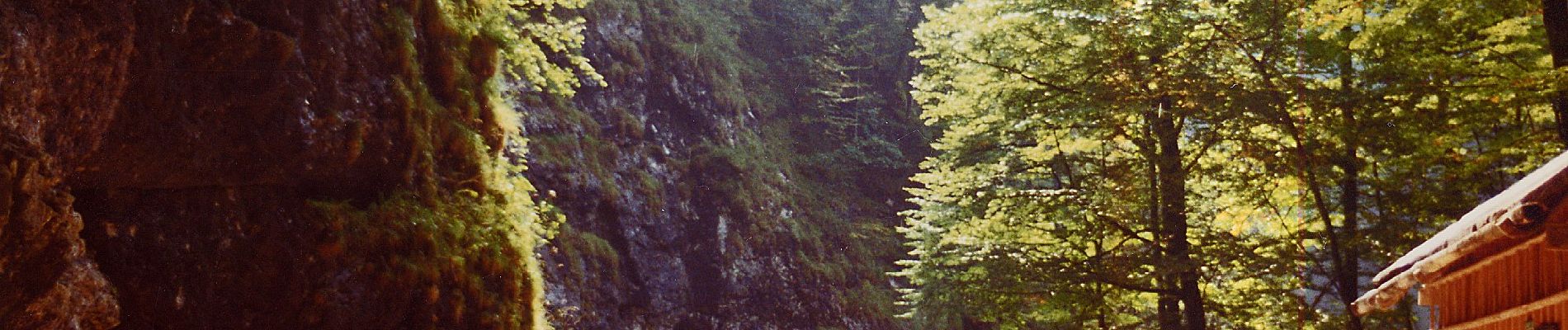 Tocht Te voet Bad Aussee - Koppental Wanderweg - Photo