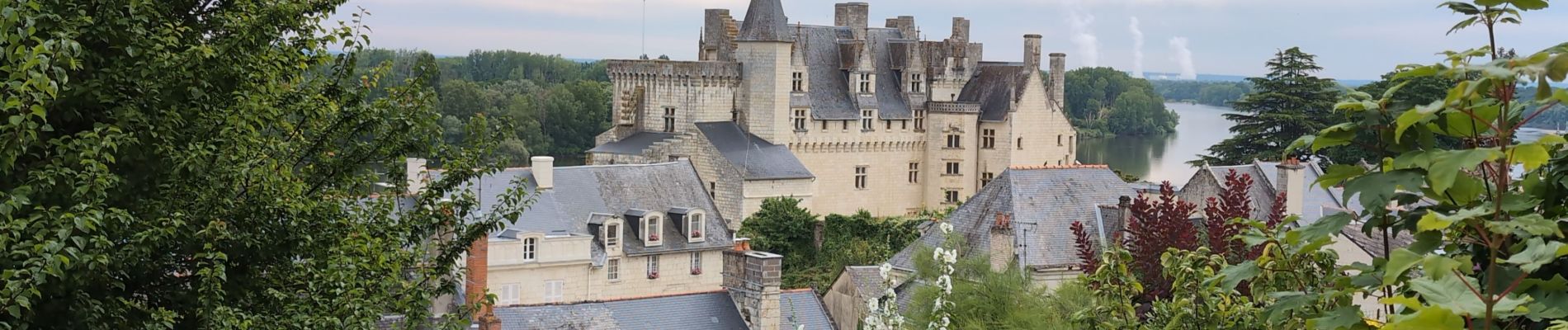 Tour Wandern Montsoreau - Montsoreau - Candes-Saint-Martin Fontevraud-l'Abbaye - 24.4km 435m 5h40 (45mn) - 2024 07 14 - Photo