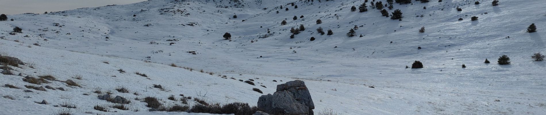 Tocht Sneeuwschoenen Gréolières - Greoliere Croix de verse - Photo