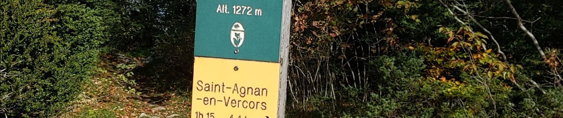 Tocht Stappen Vassieux-en-Vercors - la roche du Mas et les scialets  - Photo