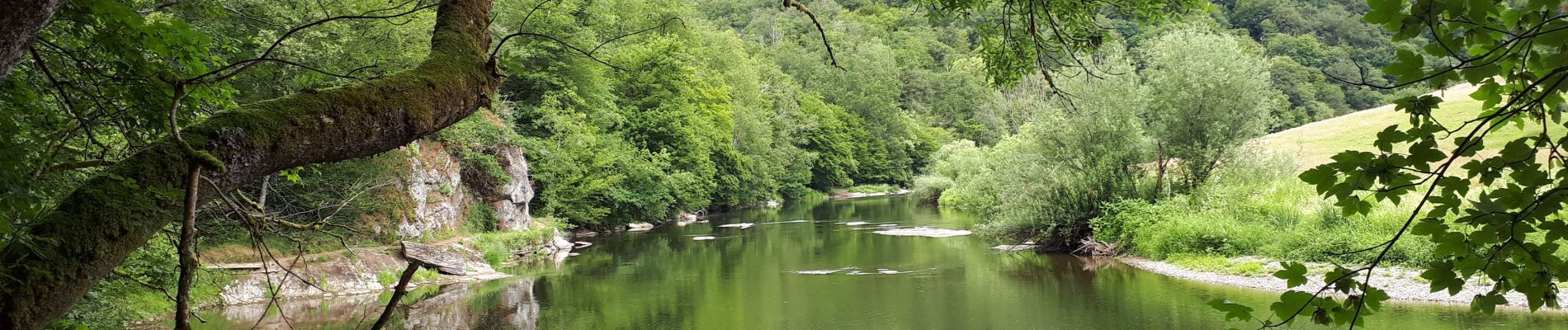 Tour Wandern Bouillon - Corbion - Bouillon 1 - Photo