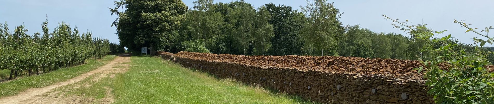 Tocht Stappen Aarschot - S-GR Hageland: Aarschot - Kortrijk-Dutsel - Photo