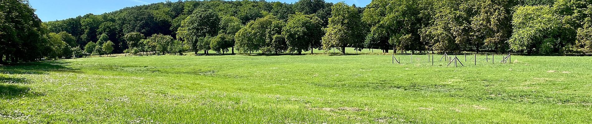 Tour Zu Fuß Unbekannt - Planetenweg - Photo