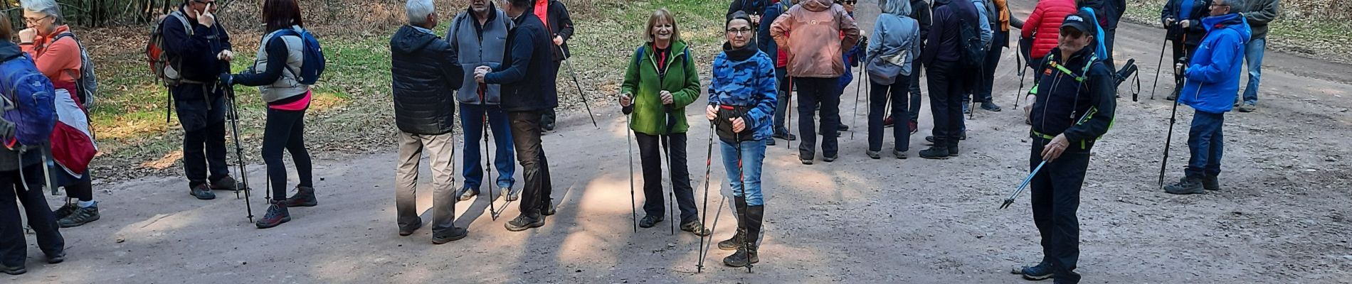 Trail Walking Pouxeux - St Nabord Malaide - Photo