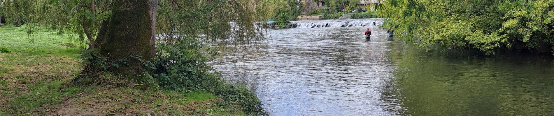 Tour Wandern Montigny-sur-Loing - T-Montigny - Photo