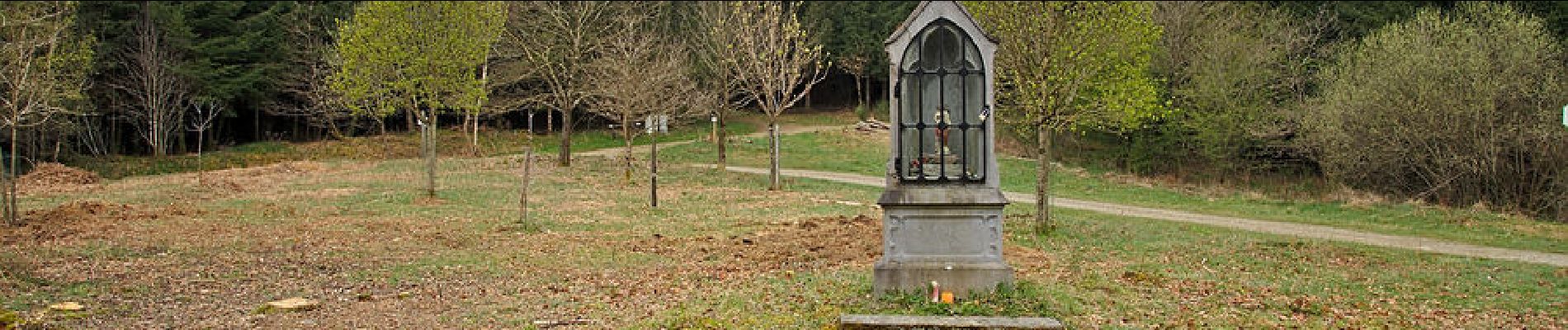 Randonnée Marche Herbeumont - Haut Chenois - Viaduc Herbeumont et points de vue  - Photo