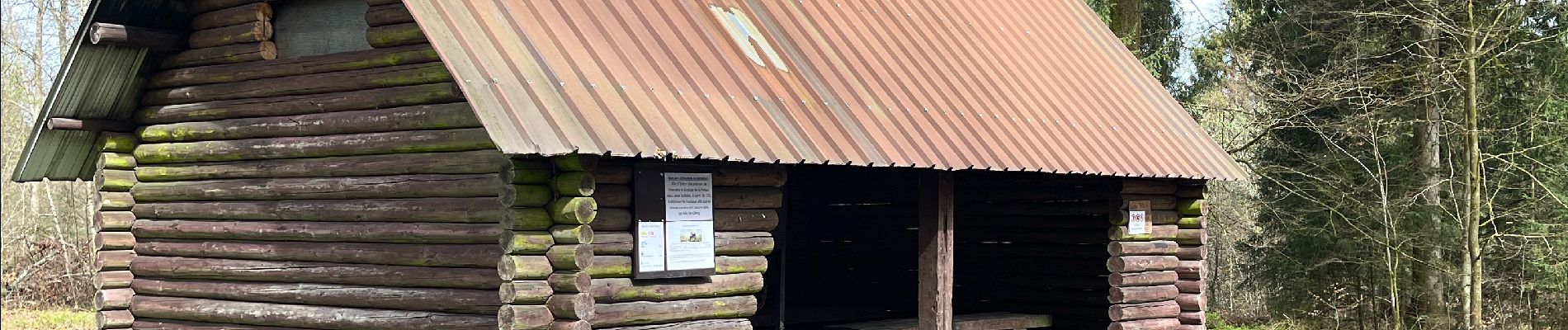 Randonnée Marche Chiny - Gaume- Forêt de Chiny - - Photo