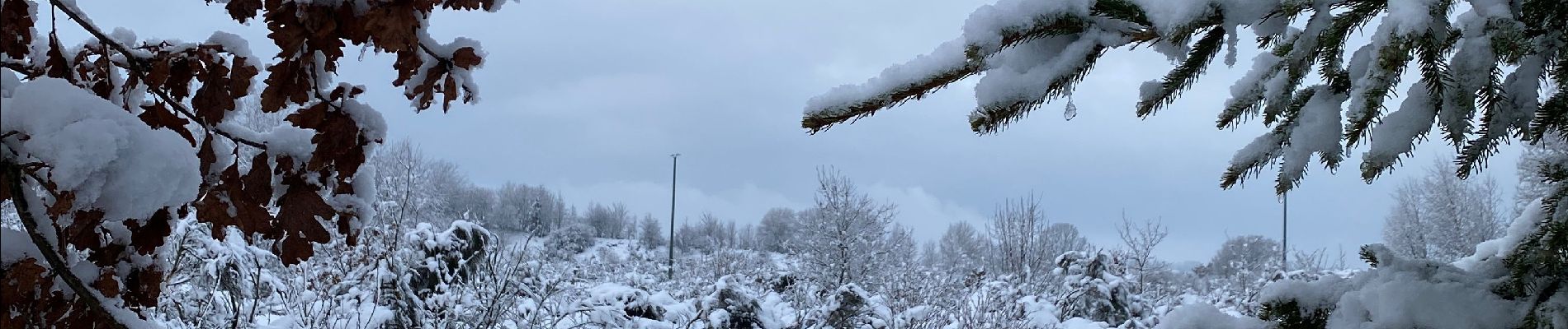 Randonnée Marche Bertogne - Promenade dans la neige - Photo