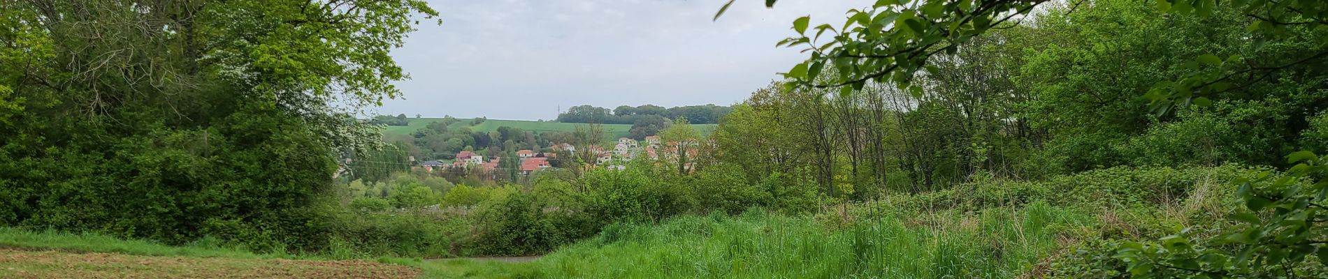 Trail Walking Lorry-lès-Metz - lorry - Photo