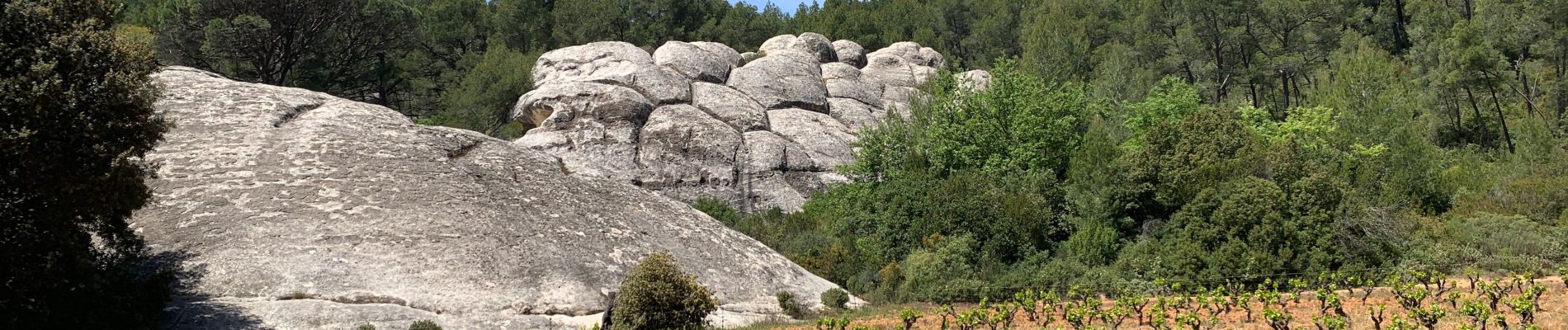 Tocht Stappen Évenos - Le gros cerveau 10 mai 2019 - Photo