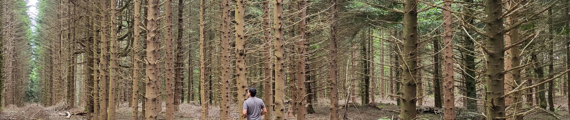 Tour Wandern Cuxac-Cabardès - 2023 06 21 les xorges - Photo