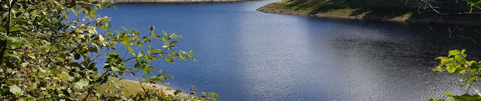 Tocht Stappen Baelen - Perckiets - Photo