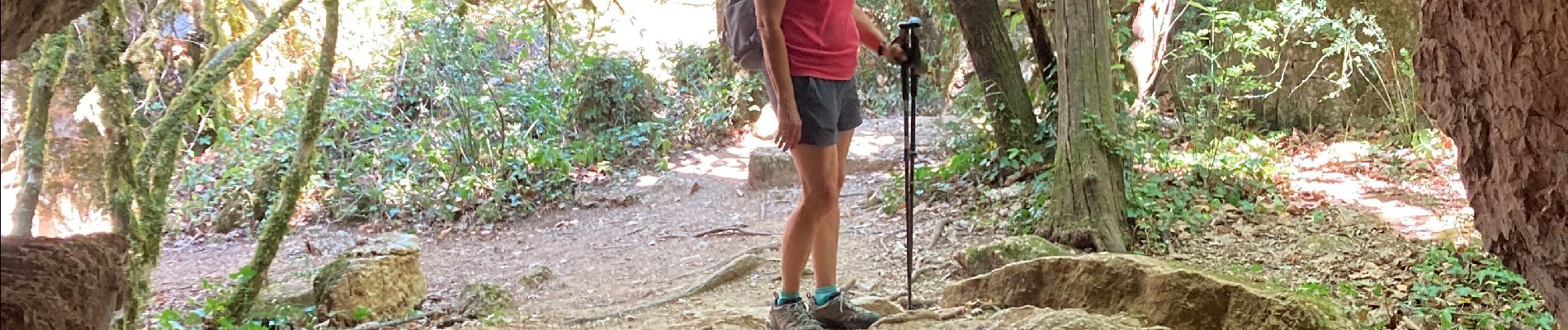 Tocht Stappen Berrias-et-Casteljau - Le bois de Païolive - Photo