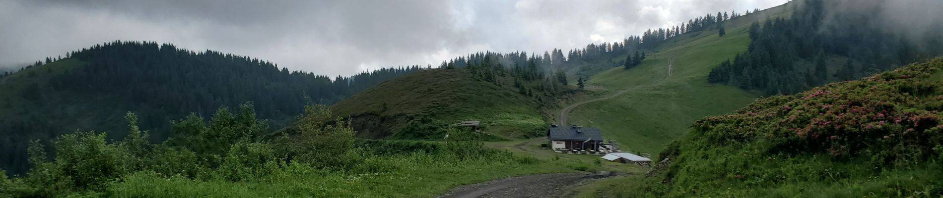 Tocht Stappen Praz-sur-Arly - Torraz christomet 928m 18kms  - Photo