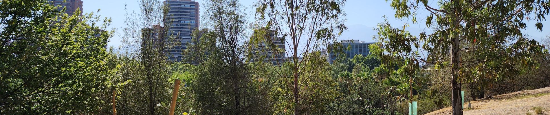 Randonnée Marche Vitacura - Parque Bicentenario - Photo