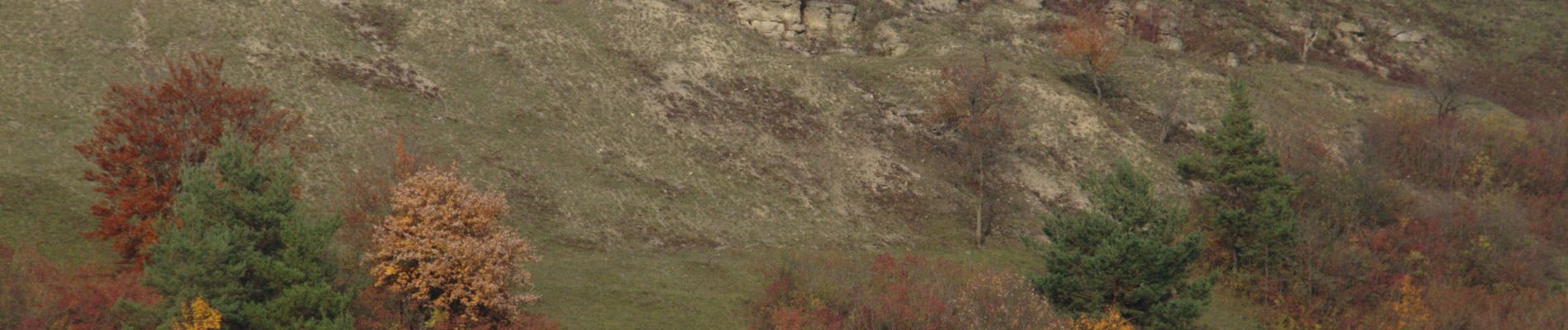 Percorso A piedi Schlüchtern - BUND-Schlüchtern-Rundweg - Hauptroute - Photo