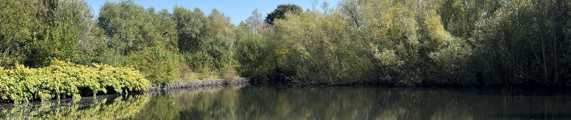 Randonnée Marche Tubize - De Halle à Tubize par la campagne  - Photo