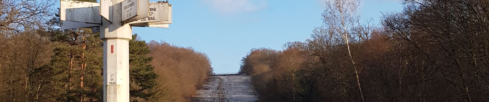 Trail Walking Compiègne - observatoire compiegne - Photo