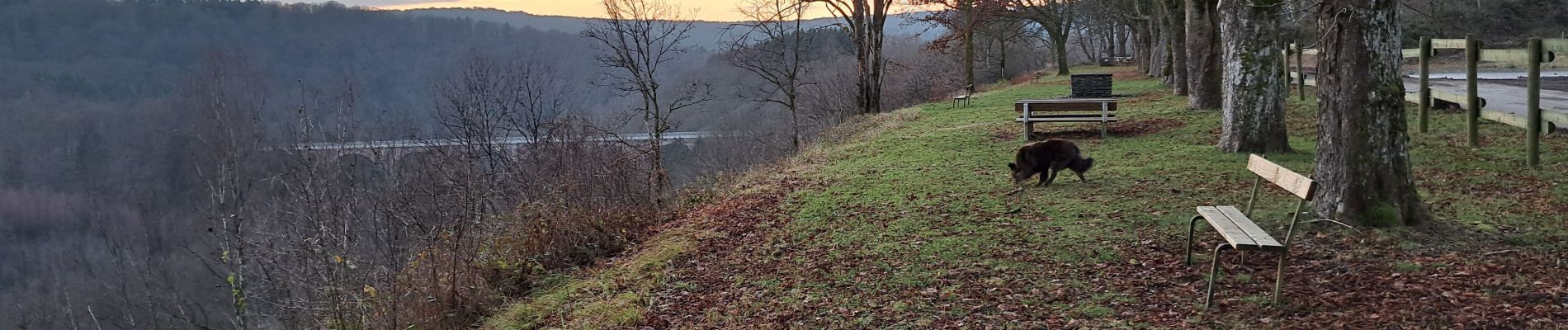 Trail Walking Herbeumont - Antrogne - Photo