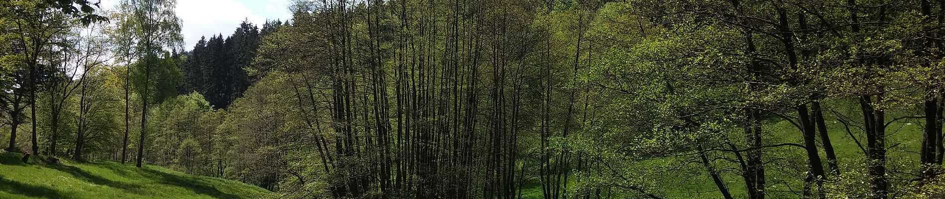 Randonnée A pied Abtsteinach - Rundwanderweg Abtsteinach 3: Lichtenklinger-Weg - Photo