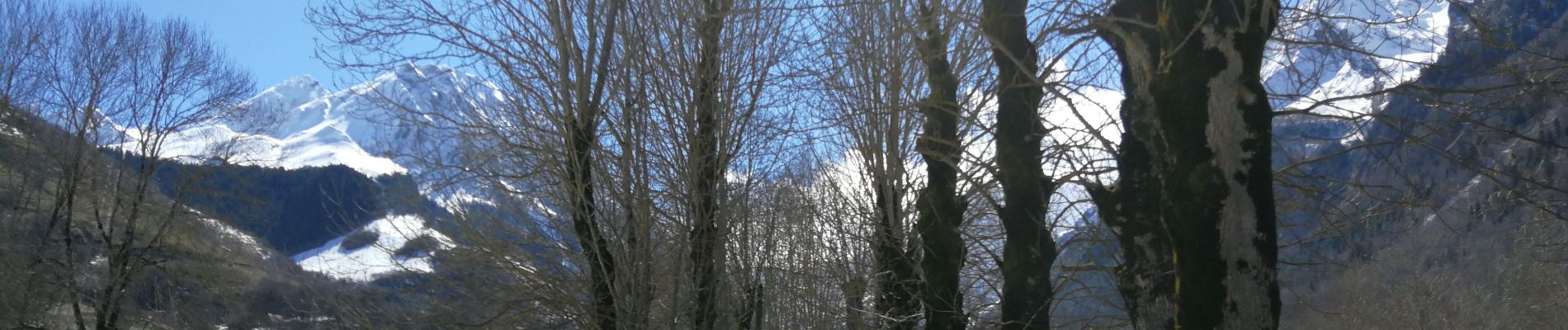 Excursión Senderismo Loudenvielle - Vallée du Louron, d'un versant à  l'autre - Photo