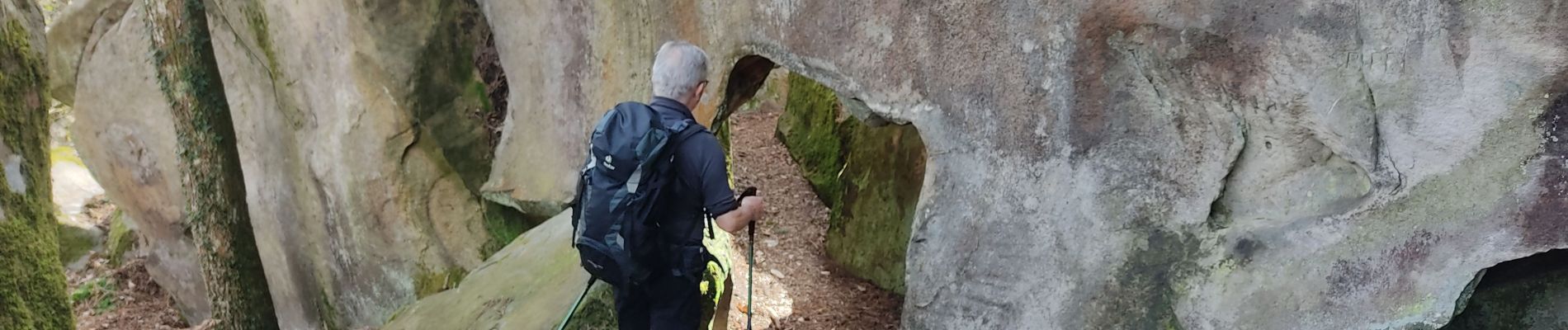 Randonnée Marche Fontainebleau - L'inspecteur général - Photo