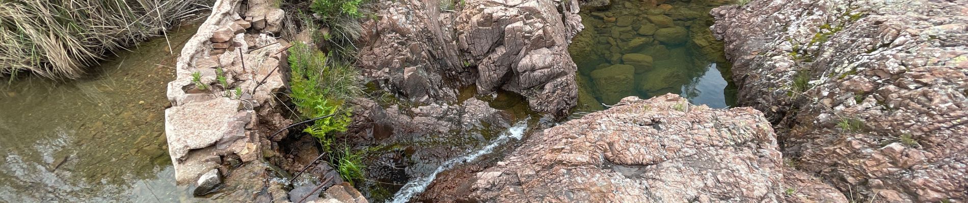 Excursión Senderismo Saint-Raphaël - Mt Vinaigre et Suvières depuis Roussiveau - Photo