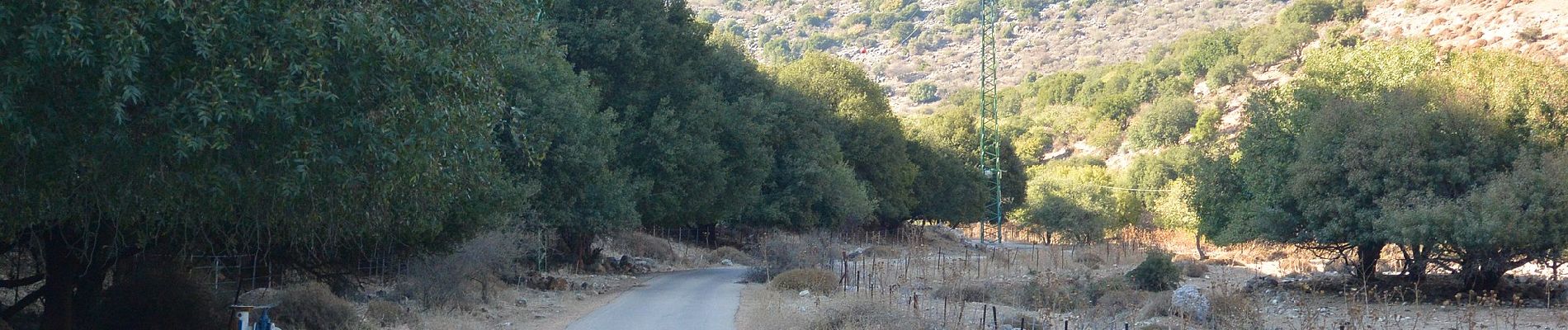 Trail On foot Galil Elyon Regional Council - IL-2136 - Photo