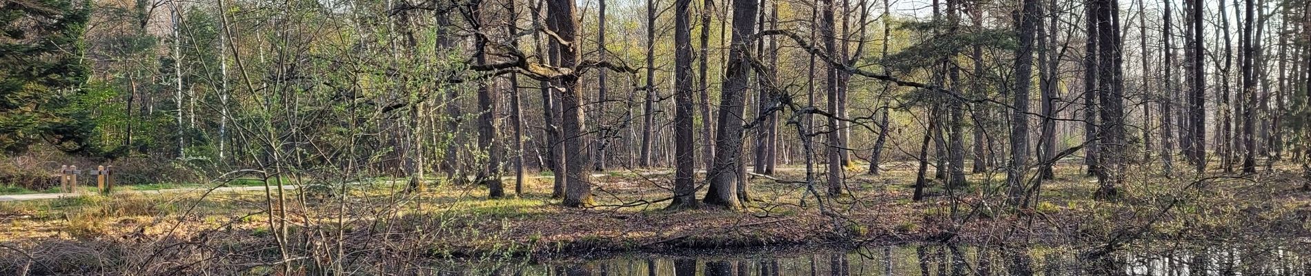 Tour Wandern Brunoy - Boucle Brunoy St Pierre - Tigery 25 km - Photo