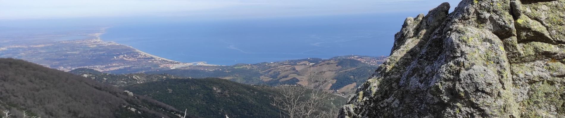 Excursión Senderismo Collioure - Le Rimbau - Photo