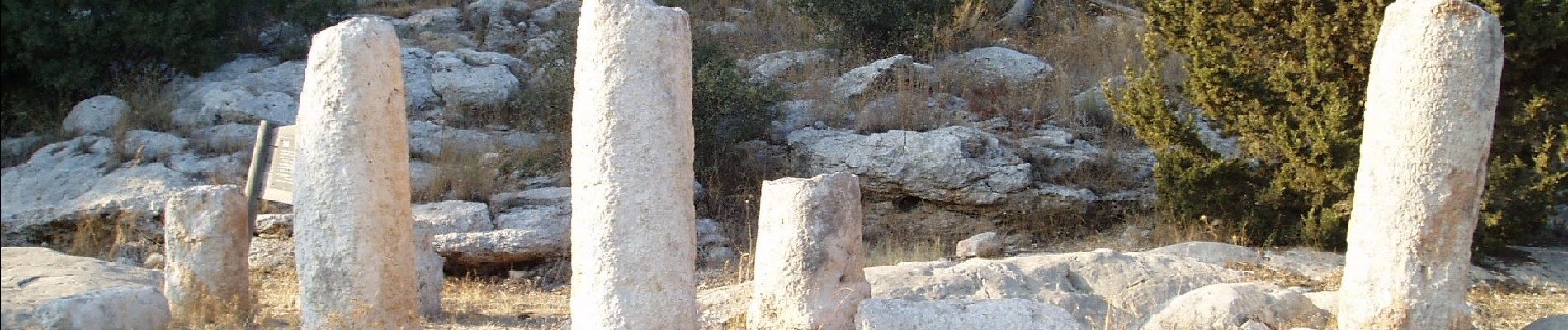 Trail On foot Mate Yehuda Regional Council - IL-9346 - Photo