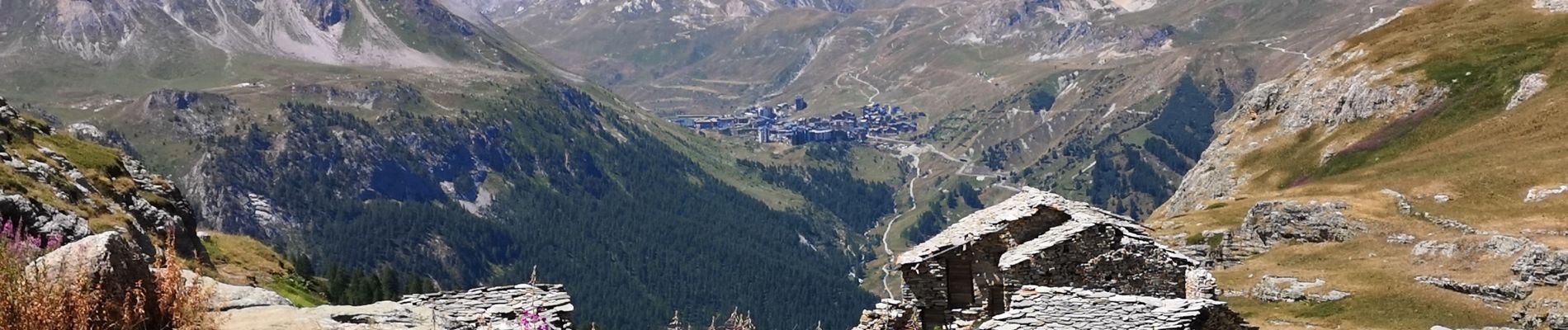 Randonnée Marche Tignes - Glacier de Rhêmes-Golette - Vanoise (24 07 2022) - Photo