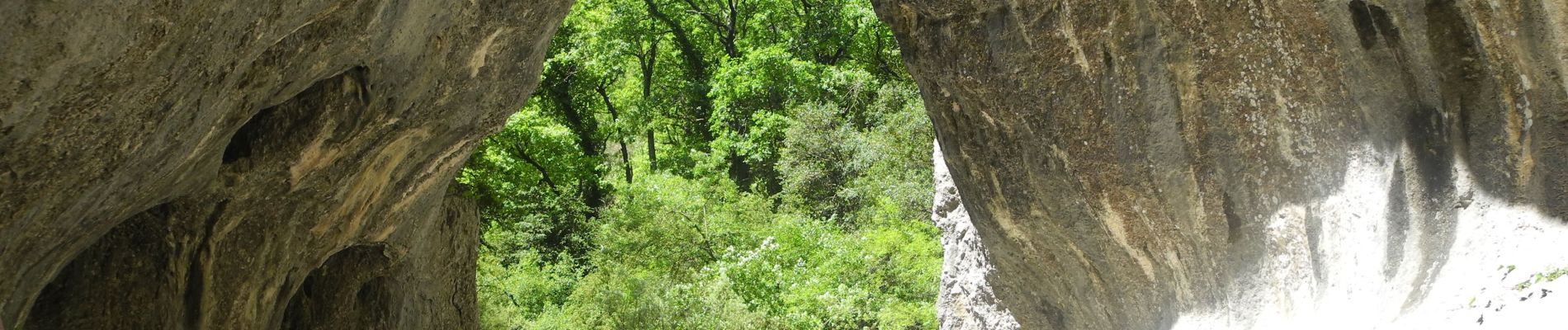 Trail Walking Lussan - PF-Lussan - La Lèque,le menhir,les Concluses - Photo