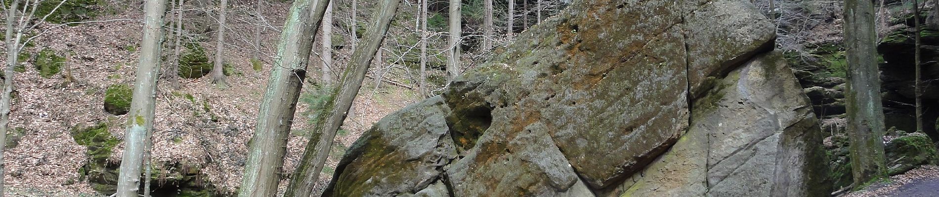 Excursión A pie Hohnstein - Großer Rundweg - Photo