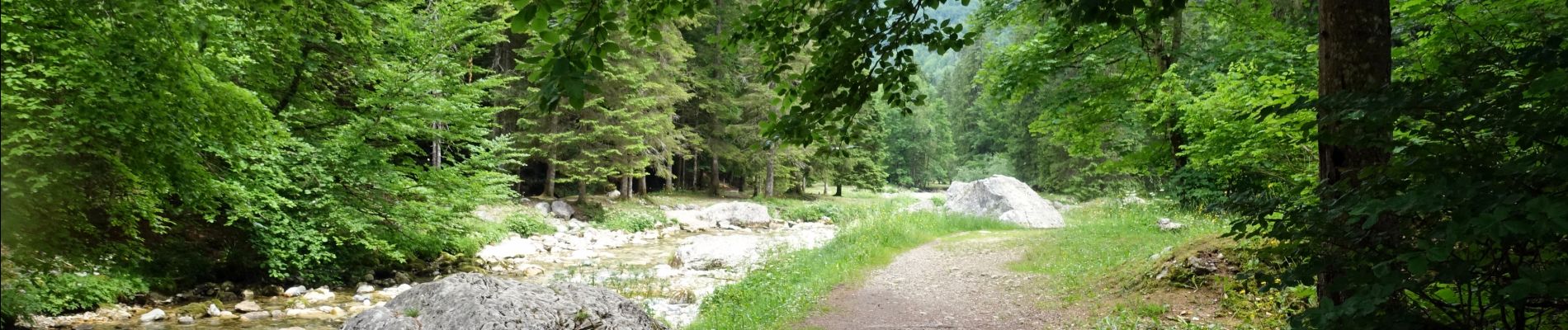 Randonnée Marche Saint-Pierre-d'Entremont - Cirque de Saint-Même-2022-G2 - Photo