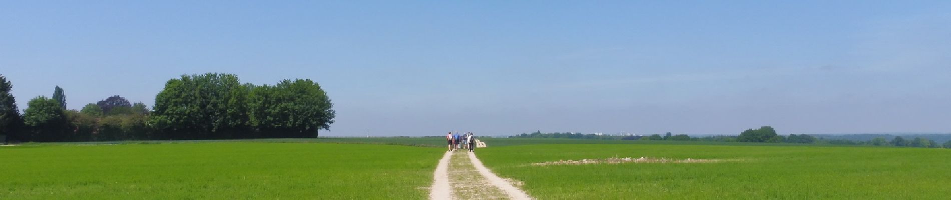 Tour Wandern Franqueville-Saint-Pierre - 20200520-Le Faulx - Photo