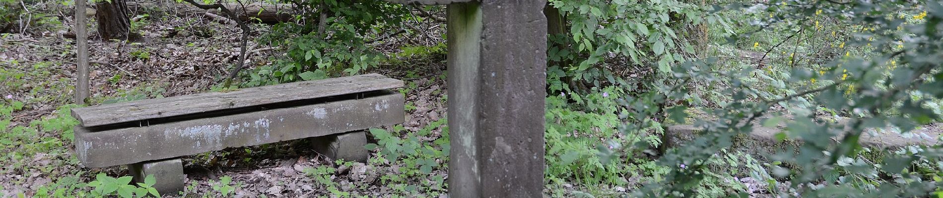 Tour Zu Fuß Unbekannt - Rundwanderweg Darmstadt 3 - Photo