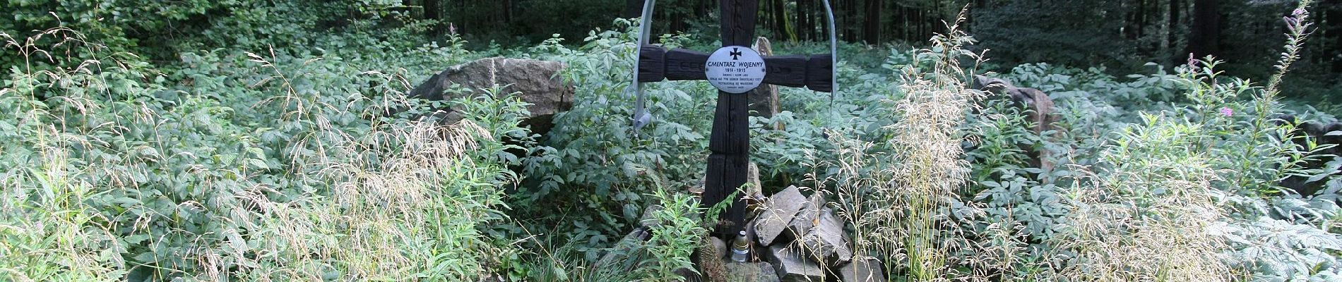 Percorso A piedi Baligród - Ścieżka przyrodnicza na Chryszczatą - Photo