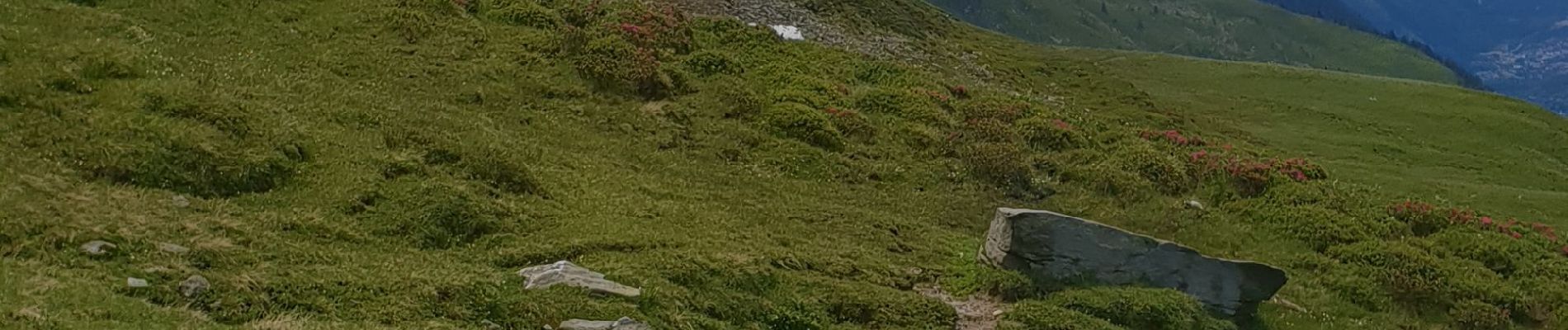 Tocht Stappen Chamonix-Mont-Blanc - monté au refuge Albert 1er - Photo