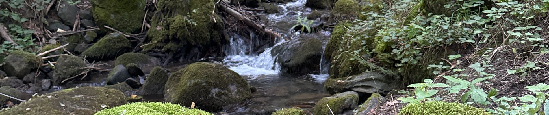 Trail  Saint-Théoffrey - Walkaround Ser Sirant camping - Photo