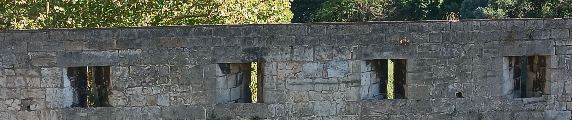 Tocht Stappen Besançon - Besançon : le Doubs, le centre, la citadelle  - Photo