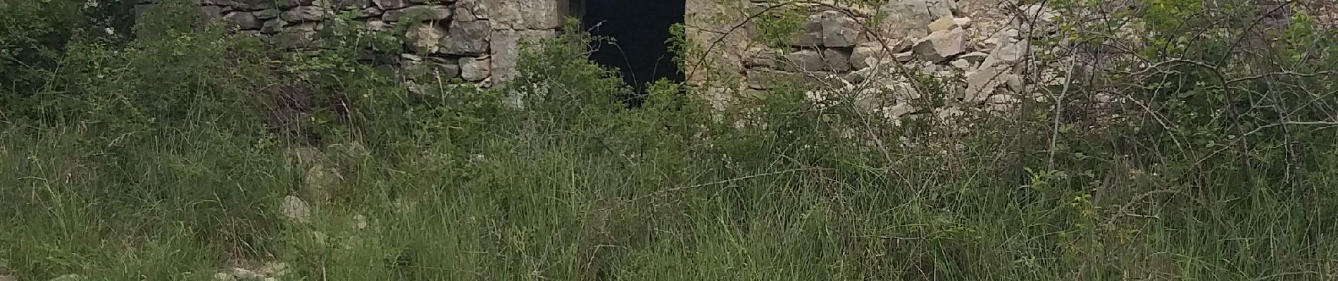 Tour Wandern Chandolas - grotte de coudon - Photo