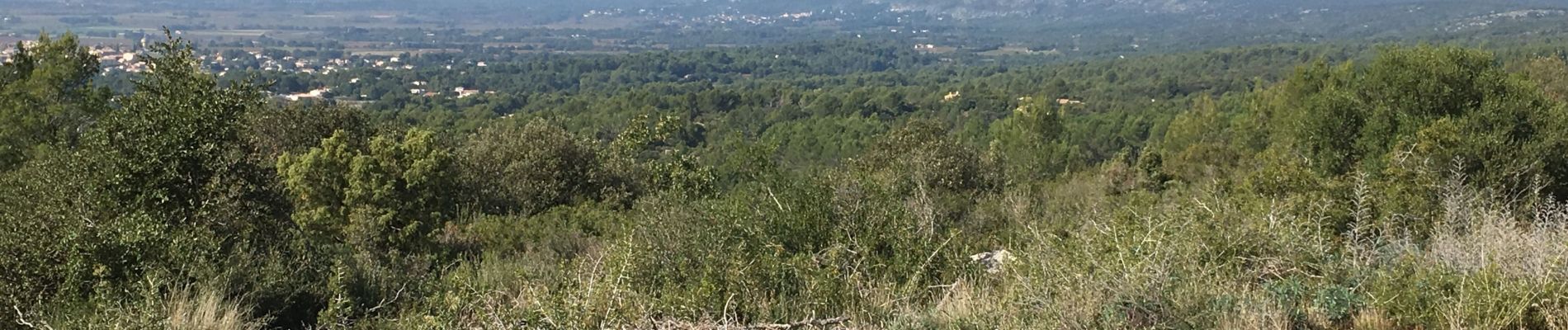 Excursión Bici de montaña Pourrières - Pourrieres - 20 km - Photo