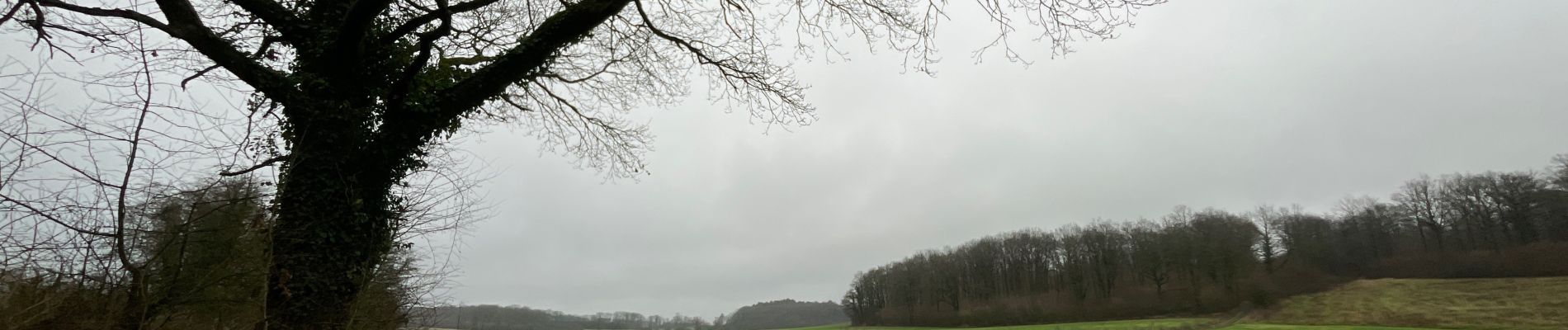 Tocht Stappen Viroinval - Ballade à Treignes - Photo